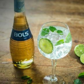 Новые ликёры "Bols" уже в Украине