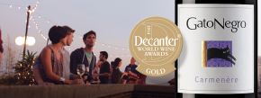 Вина Gato Negro снова на высоте!