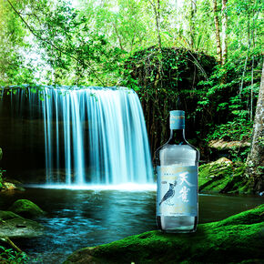 Tenjaku – новий джин в портфелі компанії!