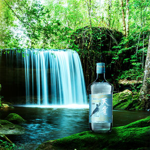 Tenjaku – новий джин в портфелі компанії!